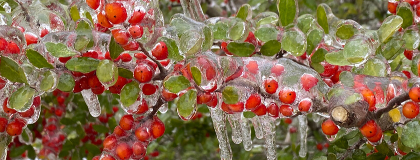Freezing temperatures led to rolling power outages Monday in Texas.